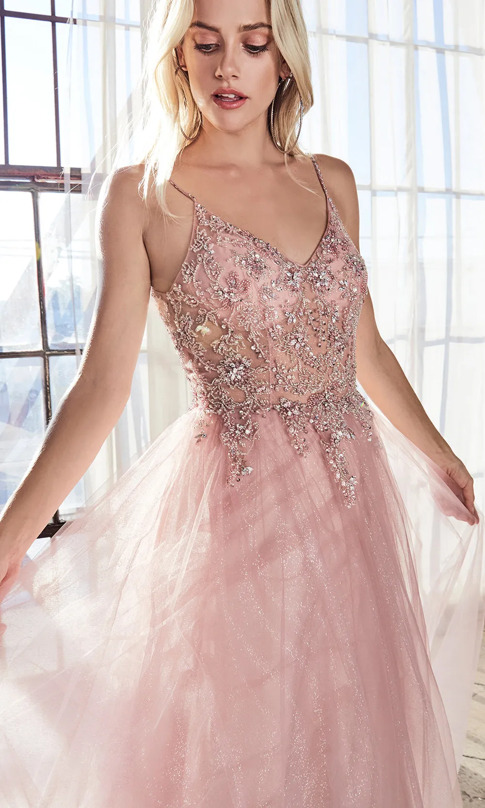 Cinderella Divine AM321